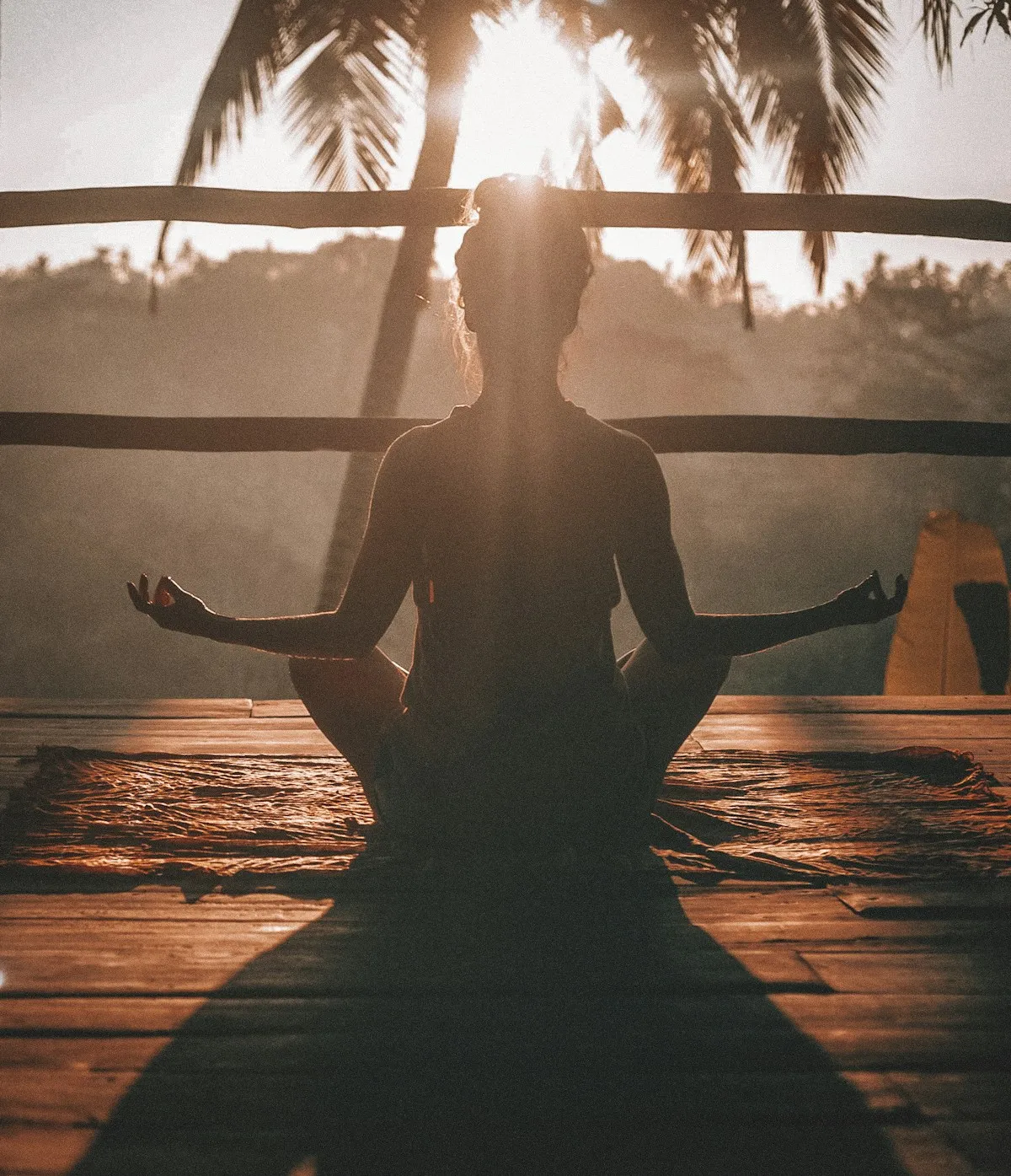 Principe n°1 : L’Alignement : posture, appuis et ajustements pratiques